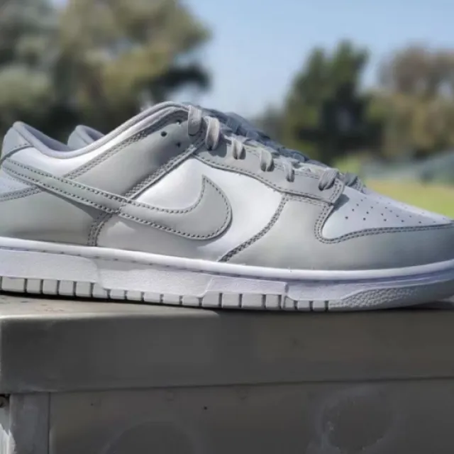 Low nike dunk low grey fog dd1391-103